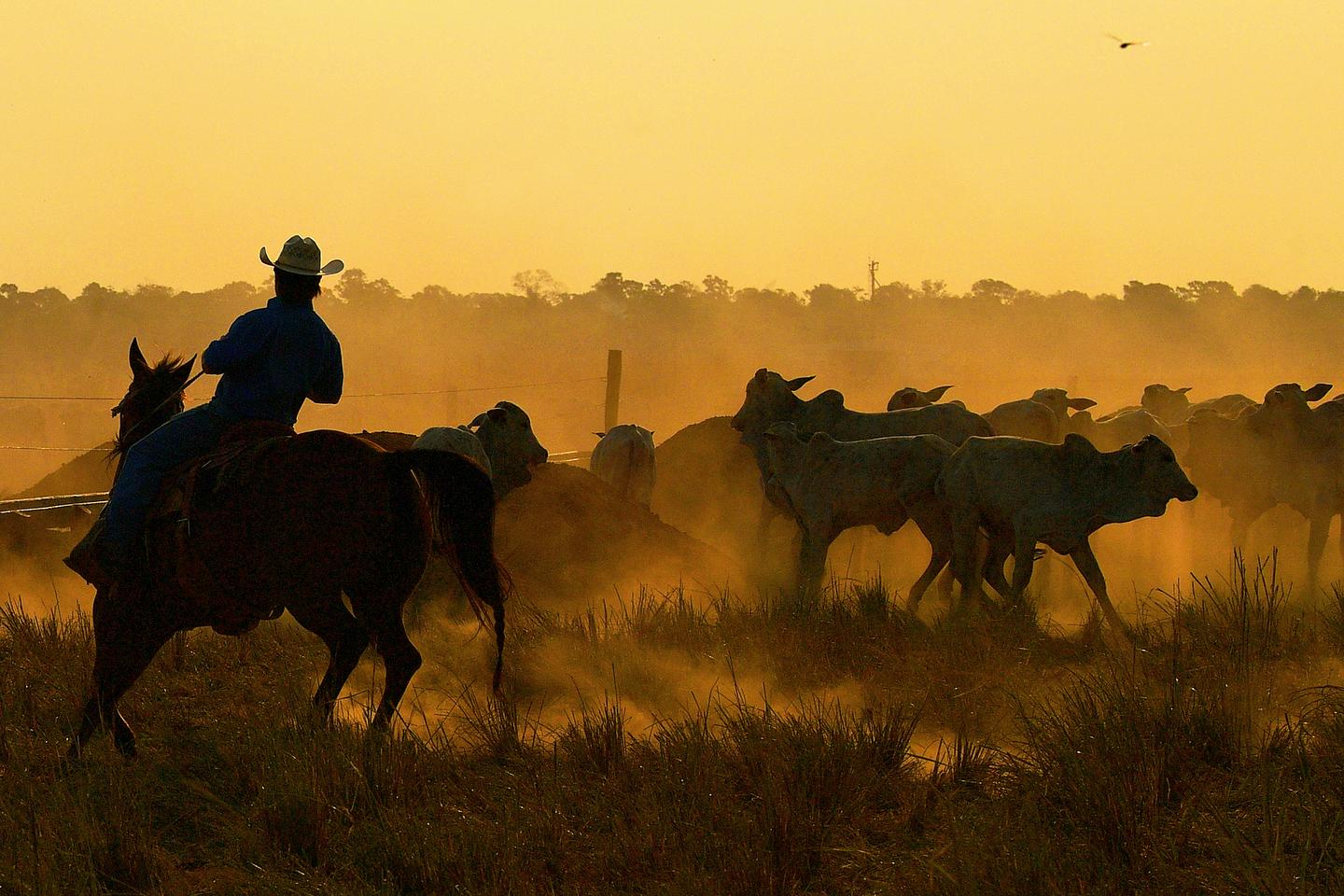 Accord UE-Mercosur : pour l’Amérique du Sud, un accord commercial à forte dimension géopolitique