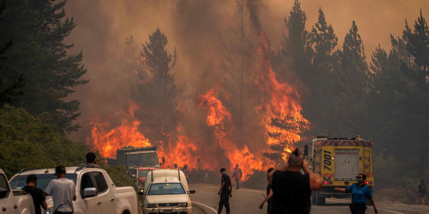 En Patagonie, des feux de forêts ont ravagé près de 15 000 hectares en une semaine