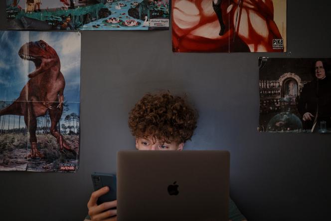 A Lagny-sur-Marne (Seine-et-Marne), en juillet 2022.