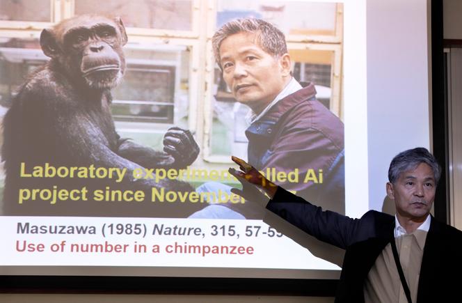 Le professeur Tetsuro Matsuzawa explique ses recherches sur l’intelligence des chimpanzés, en comparant les capacités cognitives des chimpanzés à celles des humains, devant une image projetée de lui-même et du chimpanzé Ai,  à l’Institut de recherche sur les primates de l’université de Kyoto (Japon), le 29 novembre 2017.