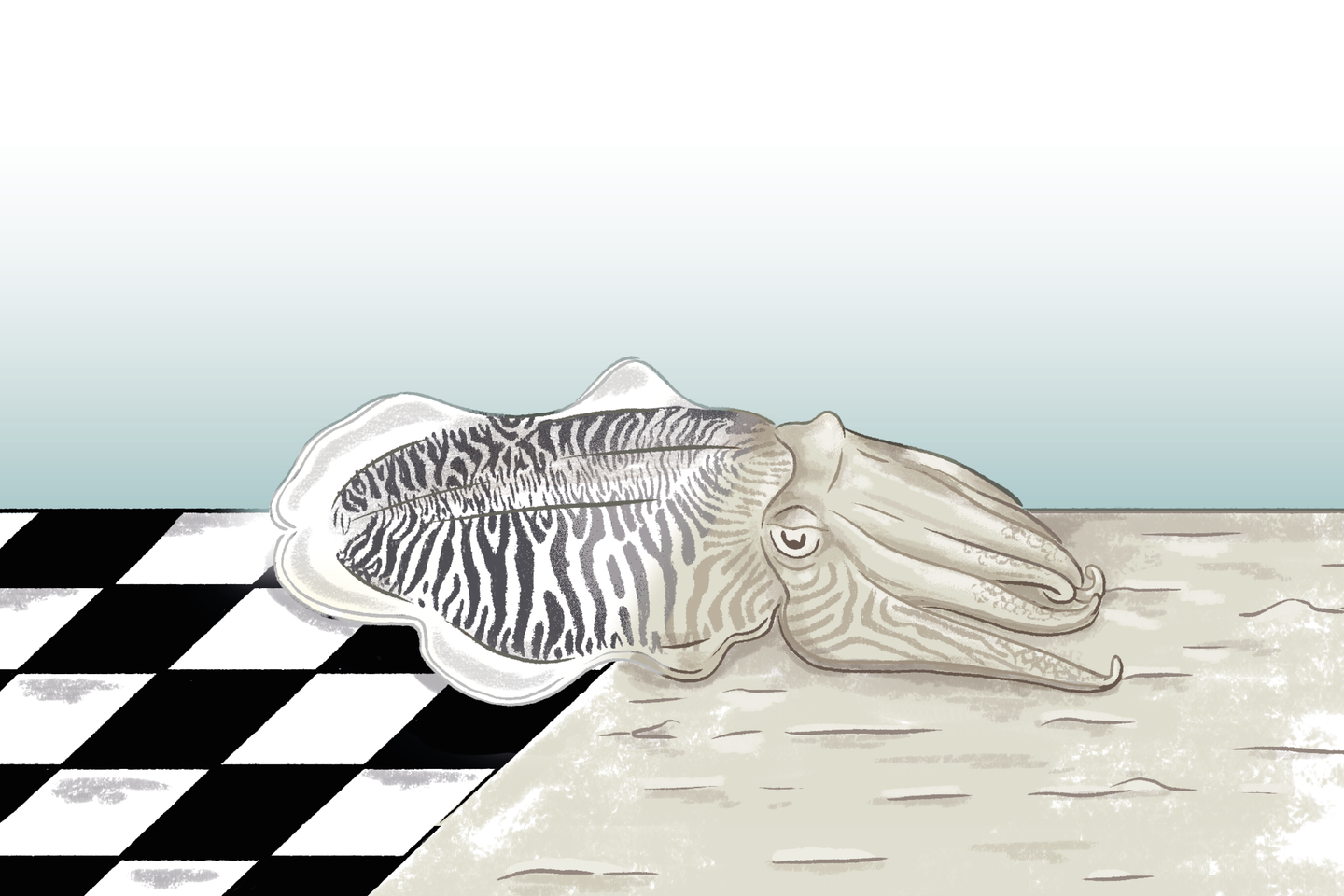 Inspirée de la seiche, une peau synthétique dont la structure peut être modifiée et programmée