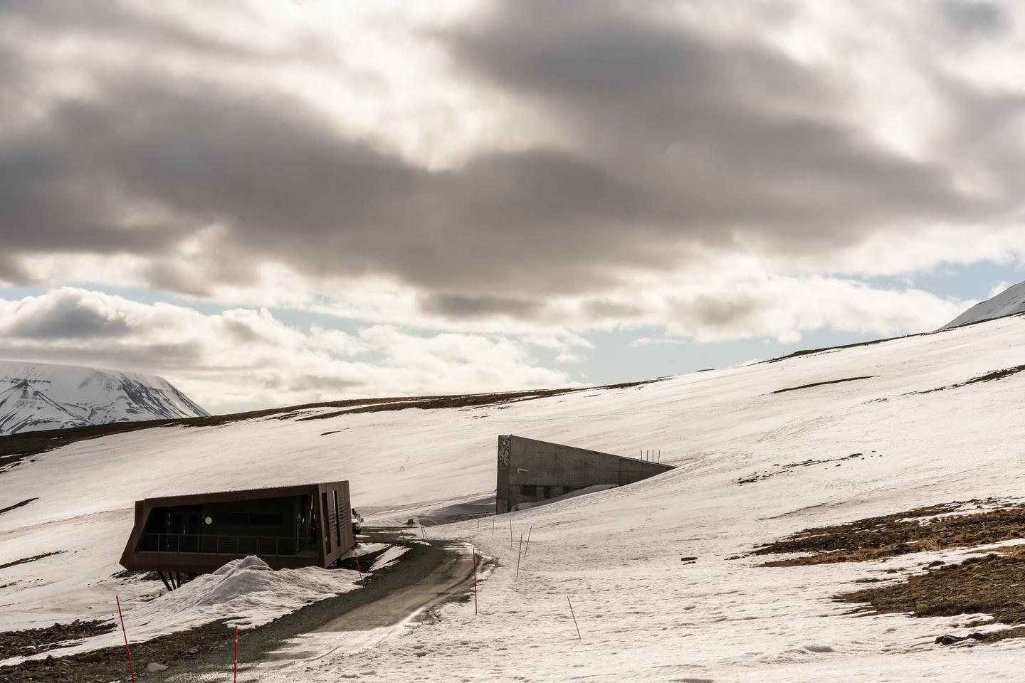 « Les Fantômes de Shearwater », de Charlotte McConaghy : ce qui survivra au désastre