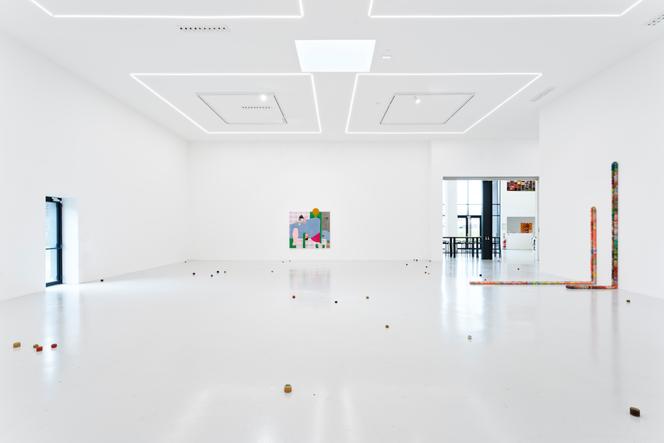 Vue de l’exposition de Nicolas Momein, à Saint-Etienne.