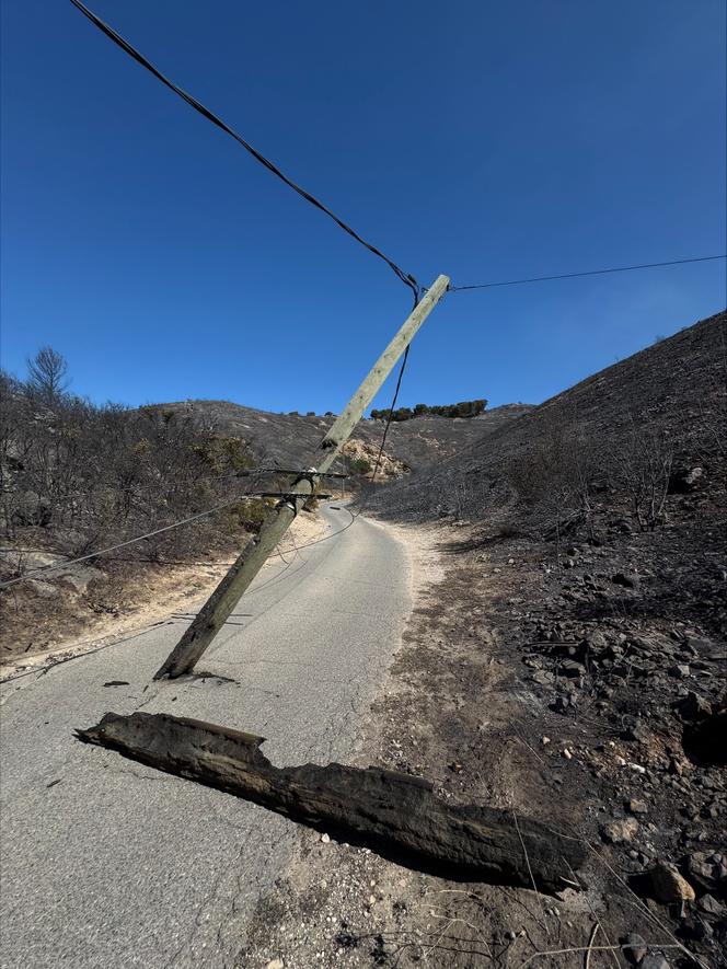 Dans le quartier de l’Estaque, à Marseille, le 9 juillet 2025, après qu’un incendie de forêt a ravagé des zones proches du centre-ville.