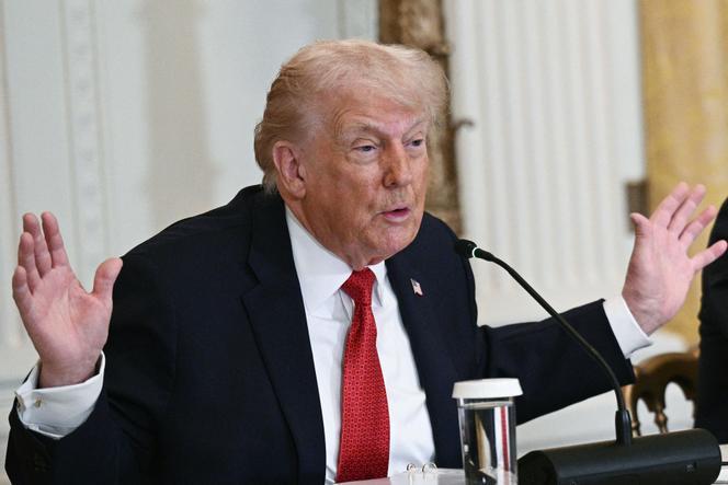 Le président des Etats-Unis, Donald Trump, à Washington, le 16 janvier 2026.