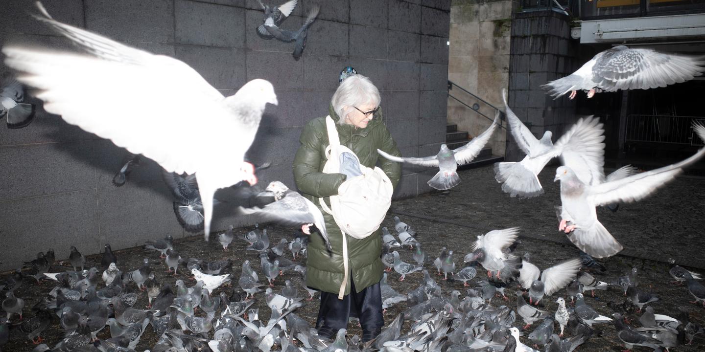 Catherine Hervais et Céline Albinet, les anges gardiens des pigeons parisiens