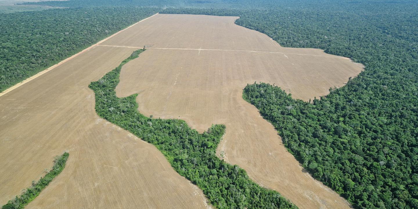 Au Brésil, l’accord UE-Mercosur va se traduire par une « avancée de l’agriculture sur des surfaces non exploitées, notamment en Amazonie »