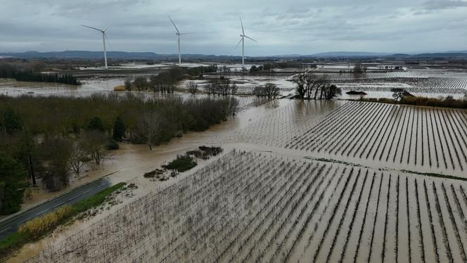 A Coursan, dans l’Aude, lundi 19 janvier.