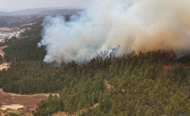En raison d’un incendie, de la fumée s’échappe d’une forêt, dans la région du Biobio, où de multiples feux de forêt ont provoqué des évacuations d’urgence, à Concepcion, au Chili, le 19 janvier 2026.