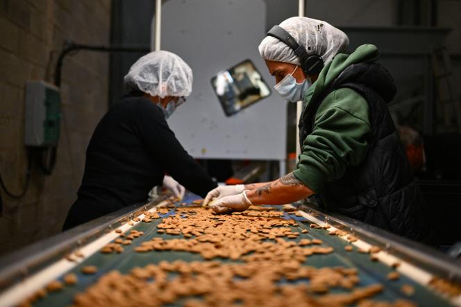 Des employés vérifient la qualité des amandes dans l’usine la Compagnie des amandes, à Brignoles (Var), le 17 novembre 2025.