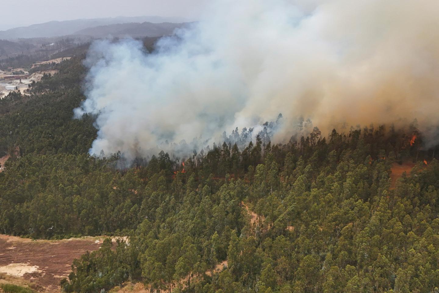 Incendies au Chili : les feux restent hors de contrôle ; au moins 19 morts