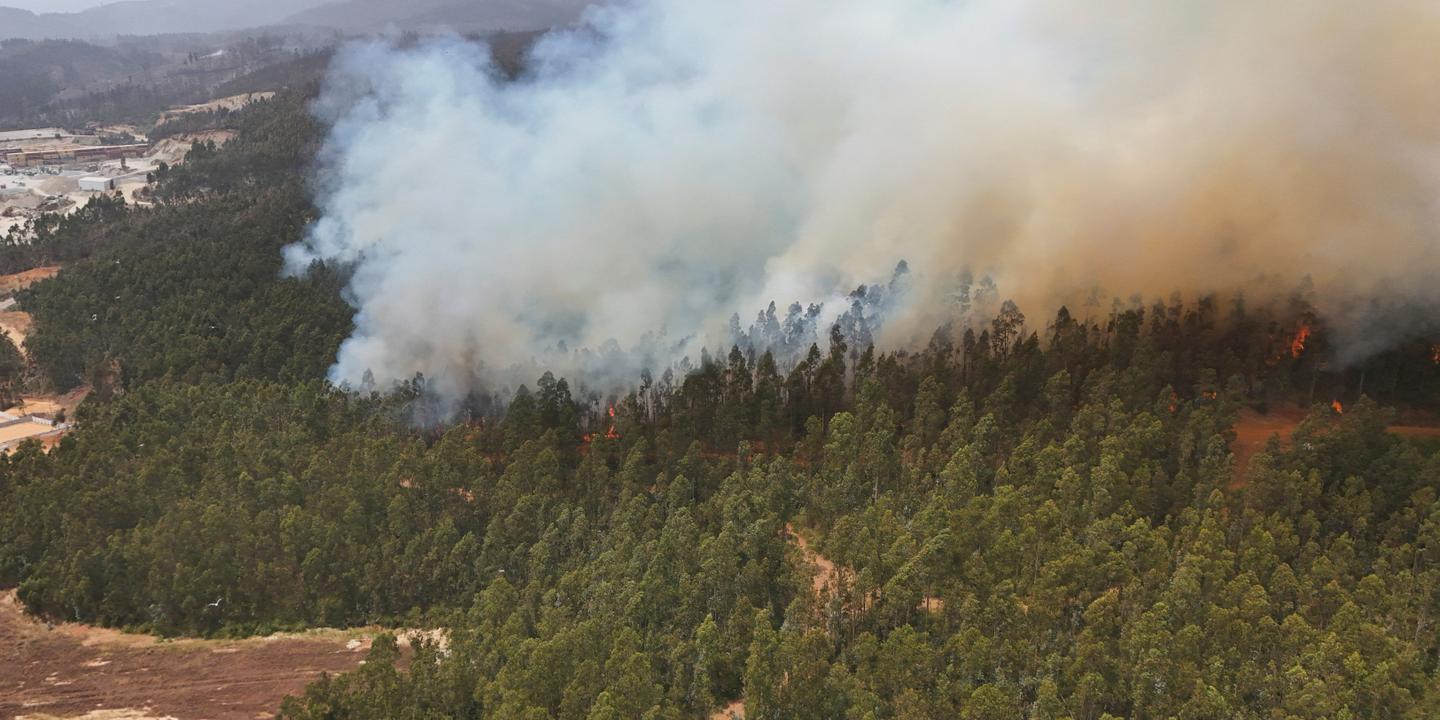Incendies au Chili : les feux restent hors de contrôle ; au moins 19 morts