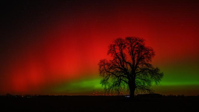 Des aurores boréales illuminent le ciel nocturne près de Lietzen (Allemagne), le 19 janvier 2026.