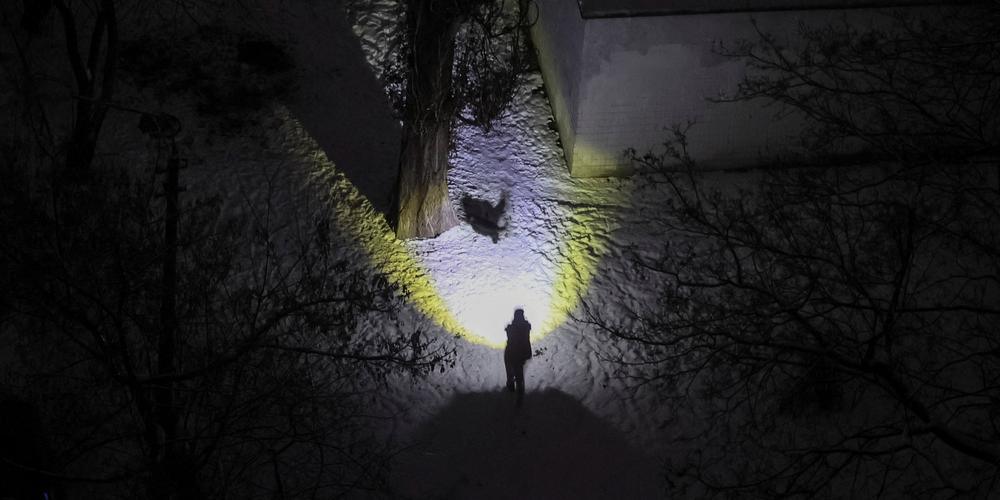 Un habitant promène son chien à la lampe torche après les attaques de missiles et de drones russes contre des infrastructures civiles essentielles, à Kiev,  le 20 janvier 2026. - GLEB GARANICH / REUTERS