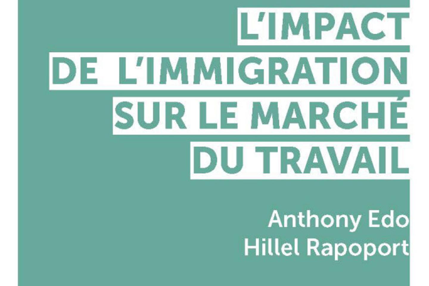 Anthony Edo et Hillel Rapoport, économistes : « L’impact de l’immigration sur le taux d’emploi des natifs est globalement neutre »