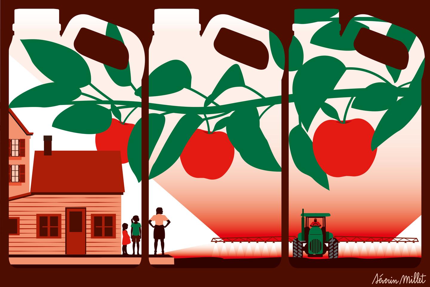 « On a donné des pommes empoisonnées à nos enfants pendant des années » : un pesticide très volatil contamine les jardins de particuliers