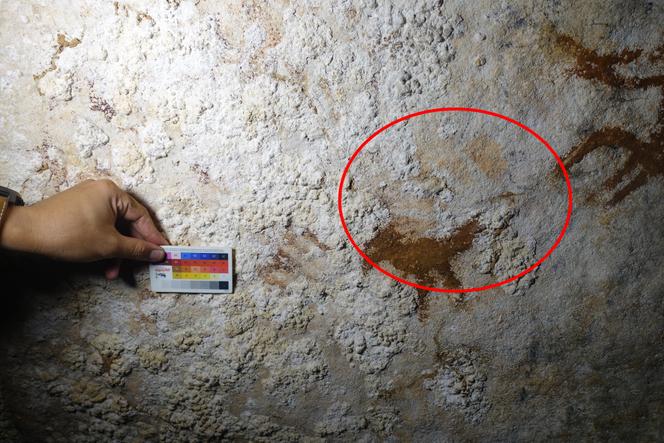 Знайдено найдавніше в історії людства наскельне мистецтво - 3