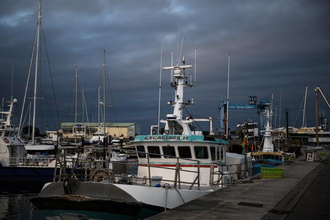 Des bateaux de pêche amarrés le long des pontons du port de pêche d’Arcachon (Gironde), à la veille d’une interdiction de pêche, le 21 janvier 2024.