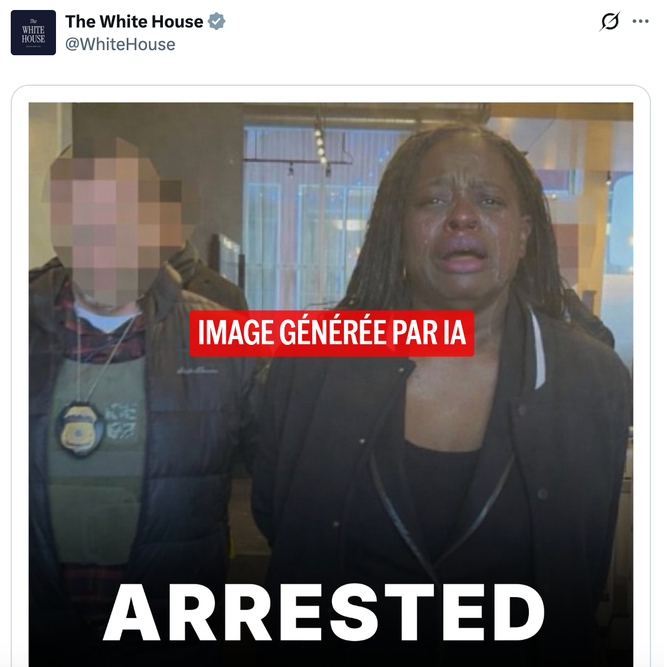Photo retouchée de la militante Nekima Levy Armstrong, publié sur le compte X de la Maison Blanche, le 22 janvier 2026.