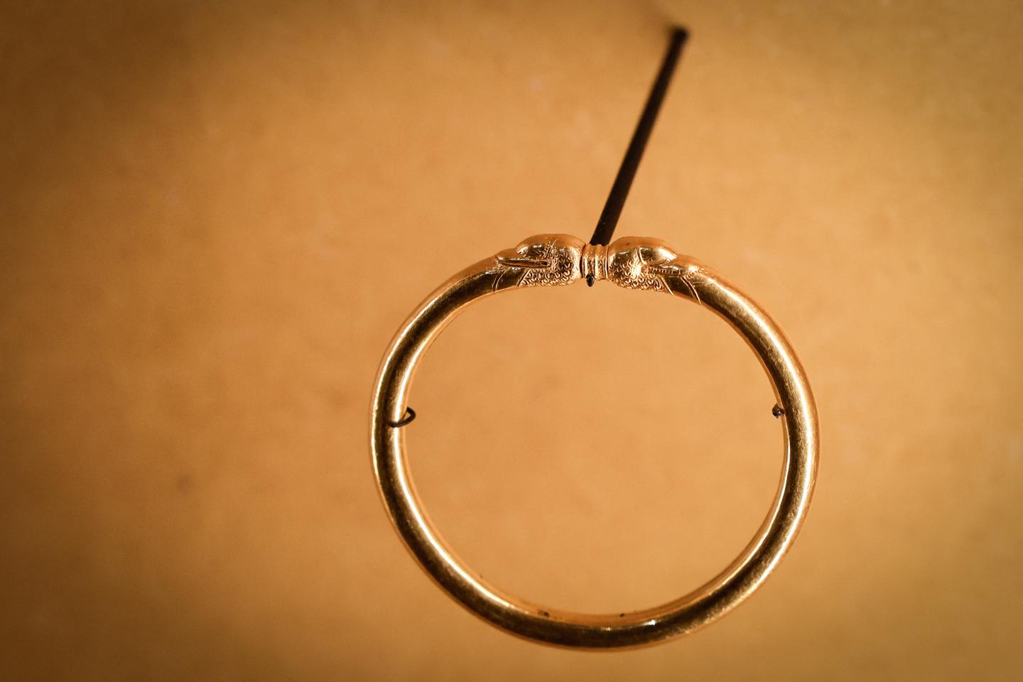 Le trésor de Lavau se dévoile au Musée d’art moderne de Troyes, onze ans après les fouilles