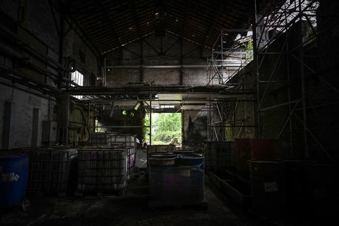 Dans le site de l’ancienne usine Green Pack à Bosc-le-Hard, le 26 juin 2025. Suite à la liquidation de l’entreprise Green Pack en 2013, l’Agence pour la transition écologique (ADEME) est chargée de la sécurité du site.