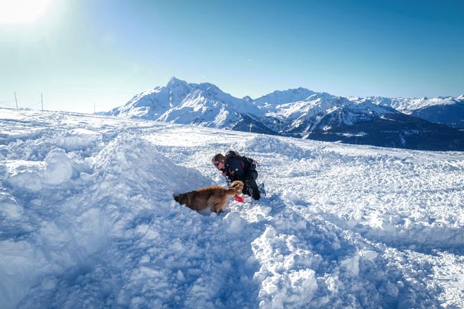 Un chien d’avalanche et un sauveteur participent à un exercice de recherche et de sauvetage dans la station de ski de La Rosière, en Savoie, le 4 février 2025.