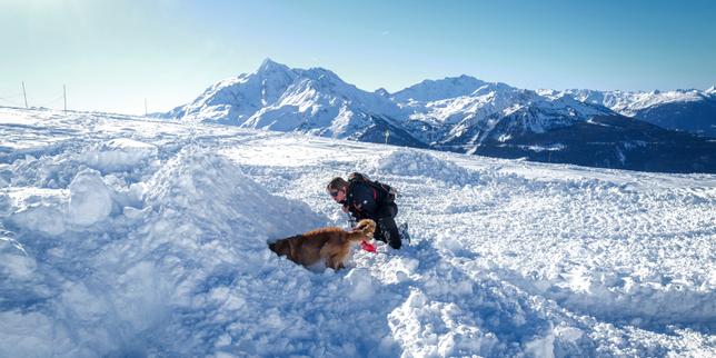 Deadly Avalanches Highlight Growing Climate Risks as France Sets Temperature Rise Targets
