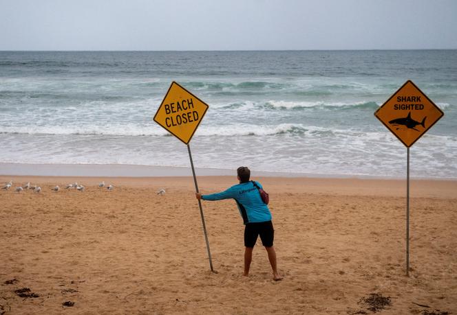 Manly Beach, Sydney, Austrália, 19 de janeiro de 2026. 
