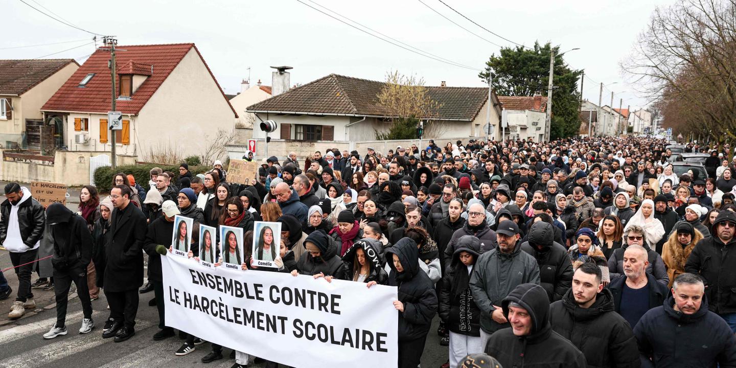 Suicide d'une lycéenne à Mitry-Mory : la plainte pour harcèlement scolaire classée sans suite