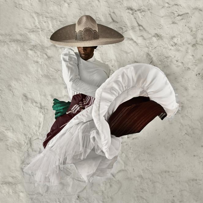 « Adelita. I Would Follow Her by Ground and Sea » (2023), d’Ayana V. Jackson.