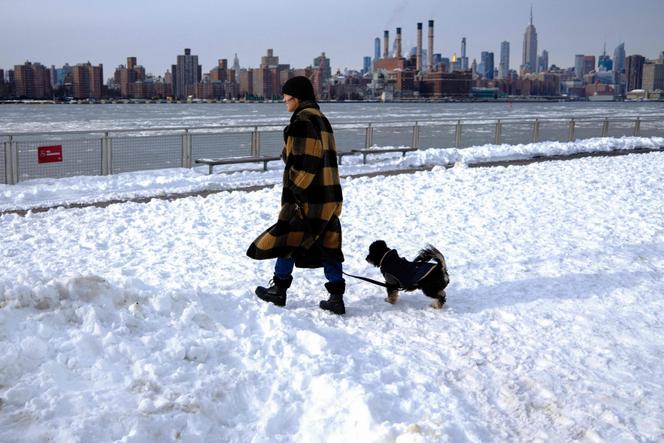 Une femme promène son chien dans le quartier de Brooklyn, à New York, le 27&nbsp;janvier&nbsp;2026. 
