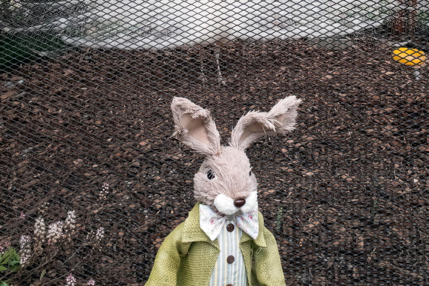 « Princesse » : Kinga Wyrzykowska sème le trouble