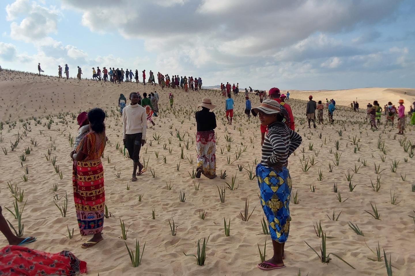 En Afrique, ces crises humanitaires guettées par l’oubli