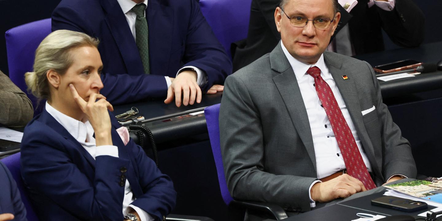 Les propositions radicales du parti d’extrême droite allemand AfD en Saxe-Anhalt, où il est aux portes du pouvoir