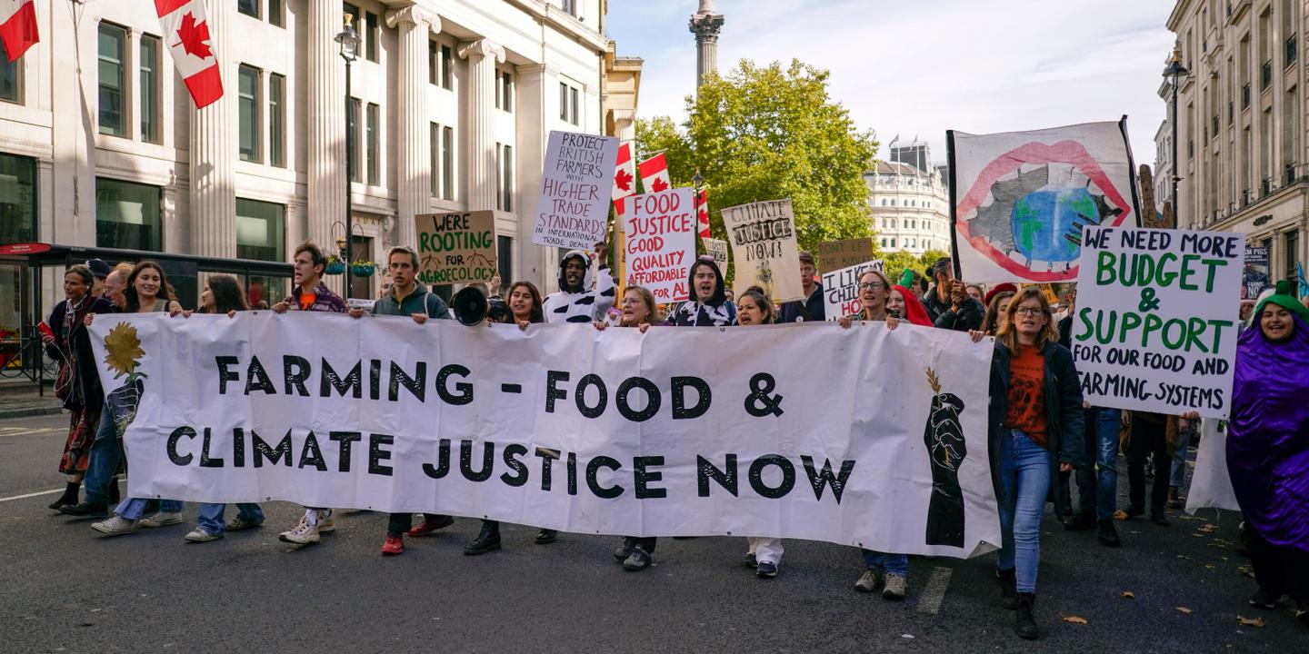Royaume-Uni : la « sécurité » et la « prospérité » du pays menacées par la perte globale de biodiversité, alerte un rapport gouvernemental