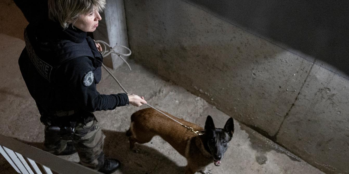 Violences physiques en hausse, vols de véhicule en baisse, les chiffres contrastés de la délinquance en 2025 Kép