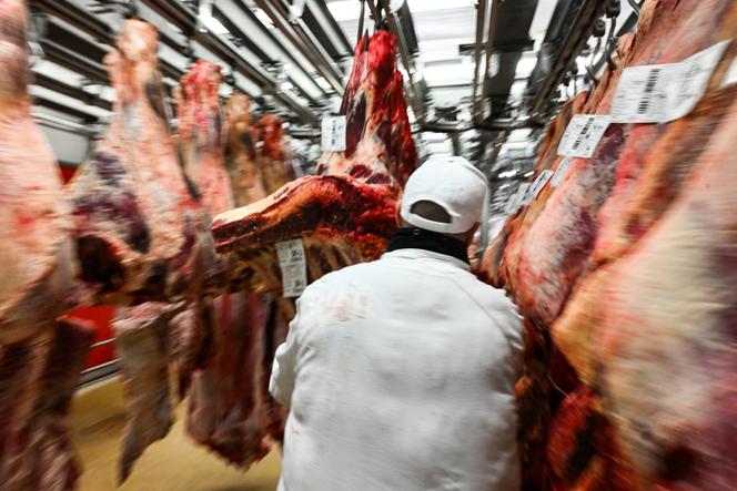 Dans le pavillon de la viande du marché international de Rungis (Val-de-Marne), le 6 décembre 2022.