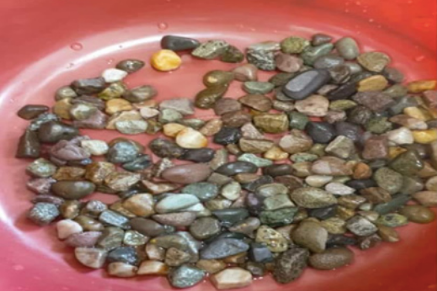 Des cailloux dans l’intestin : récits cliniques d’ingestions improbables Des cailloux dans l’intestin : récits cliniques d’ingestions improbables