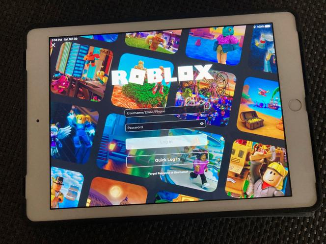 Roblox est une plateforme qui permet de créer et partager des jeux vidéo. Elle a été créé aux Etats-Unis en 2004.