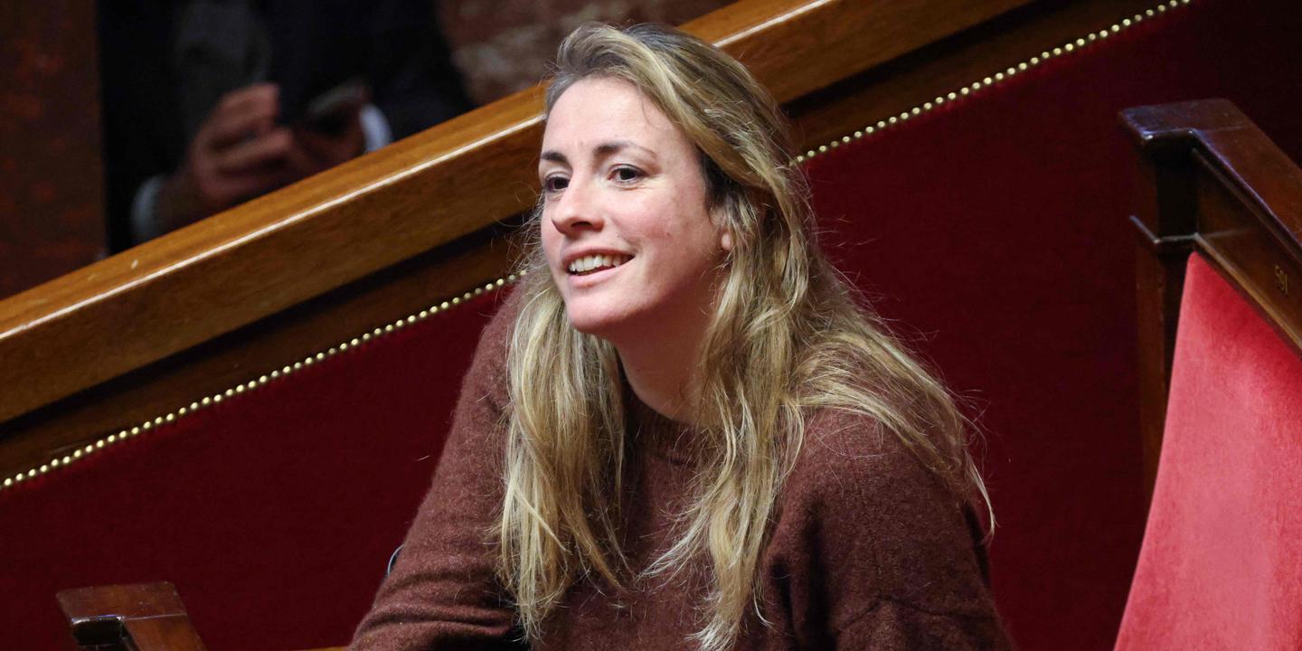 Les écologistes proposent un référendum citoyen délibératif pour renforcer la démocratie