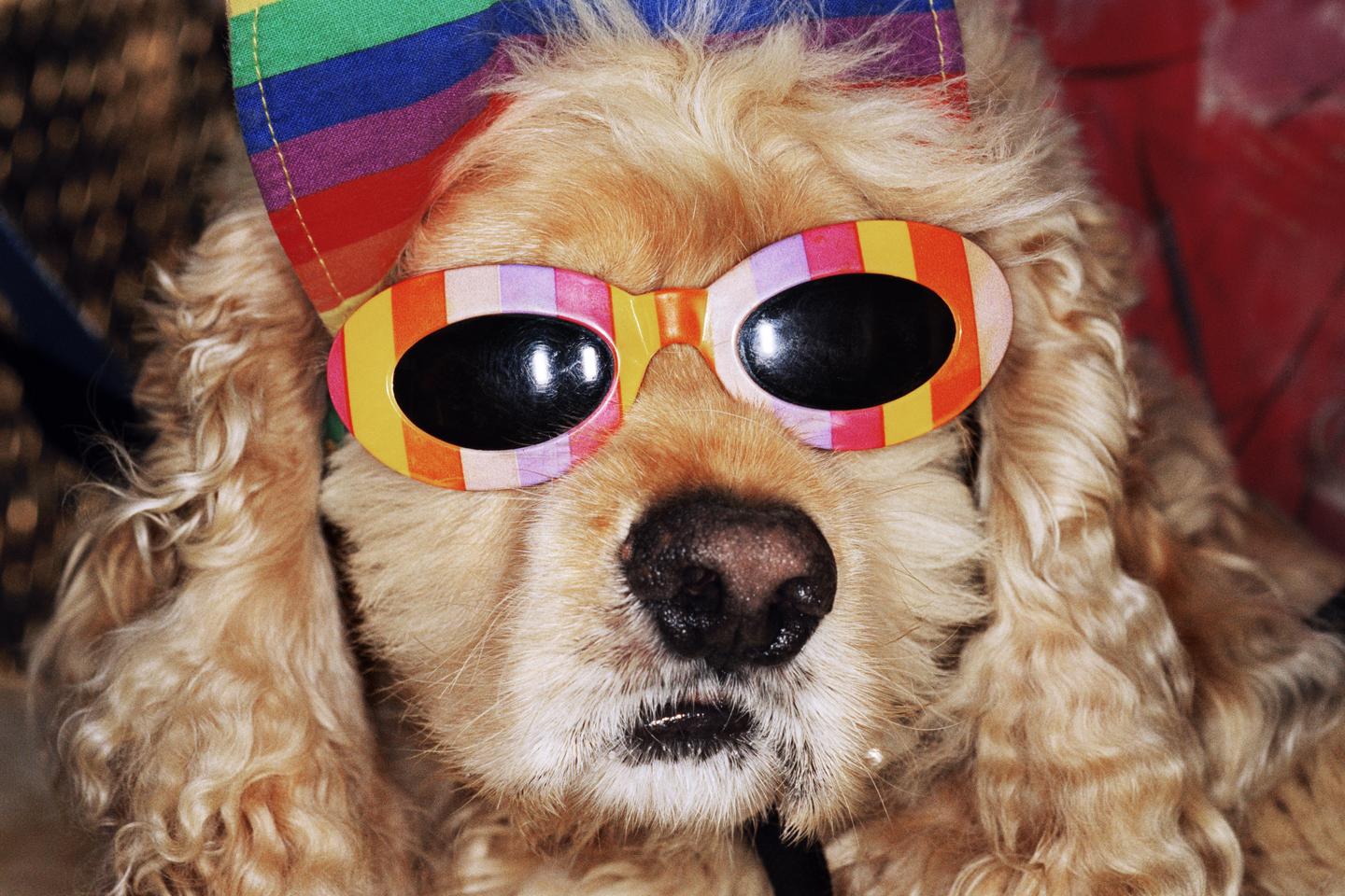 « Martin Parr, Global Warning » au Jeu de Paume : le testament d’une planète