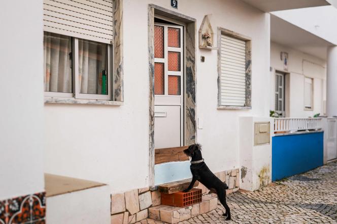 A Vila Franca de Xira (Portugal), le 6 février 2026.