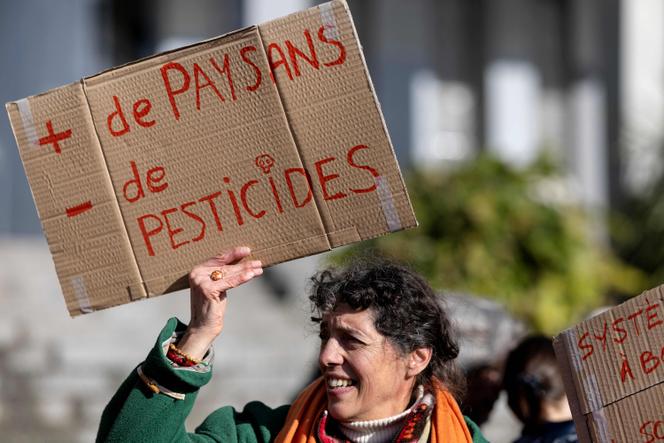 Lors d’une manifestation contre les « lois Duplomb » à Brest, le 7 février 2026.