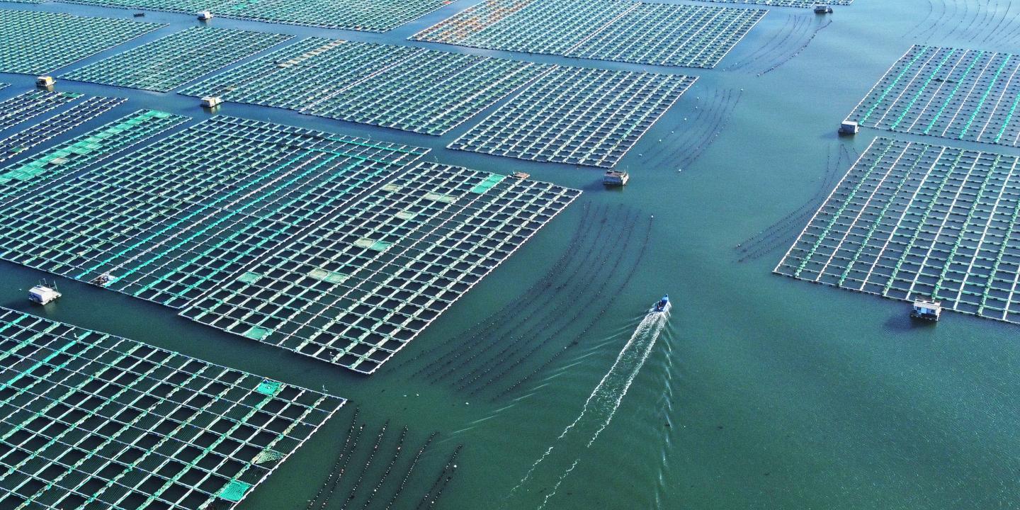 La biodiversité, un risque systémique pour l'économie mondiale selon l'IPBES