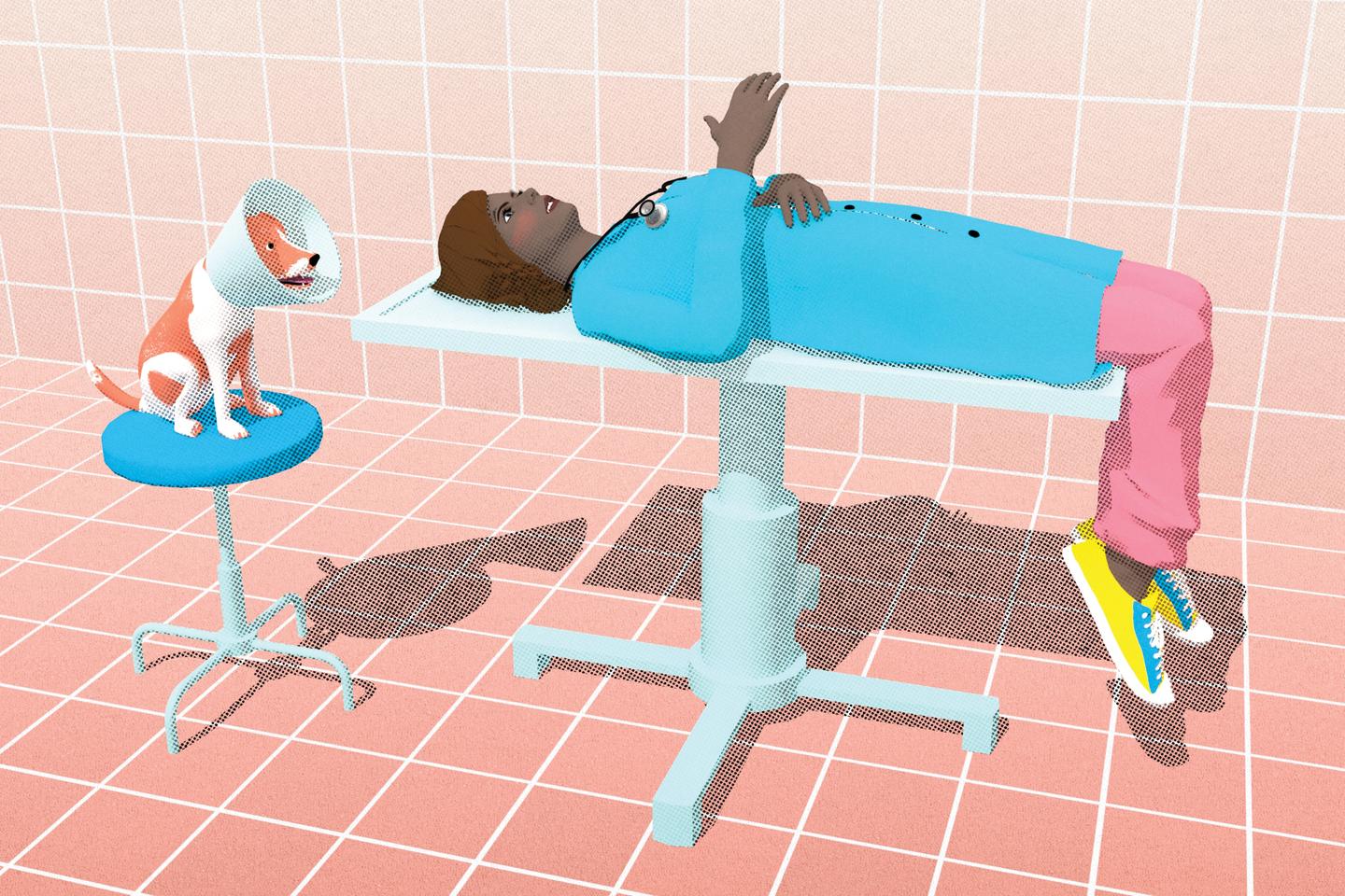 les écoles vétérinaires dans la tourmente