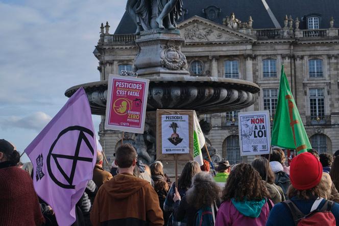 Demonstration at Place de la Bourse, in Bordeaux, to protest against the so-called “Duplomb” law, February 7, 2026.