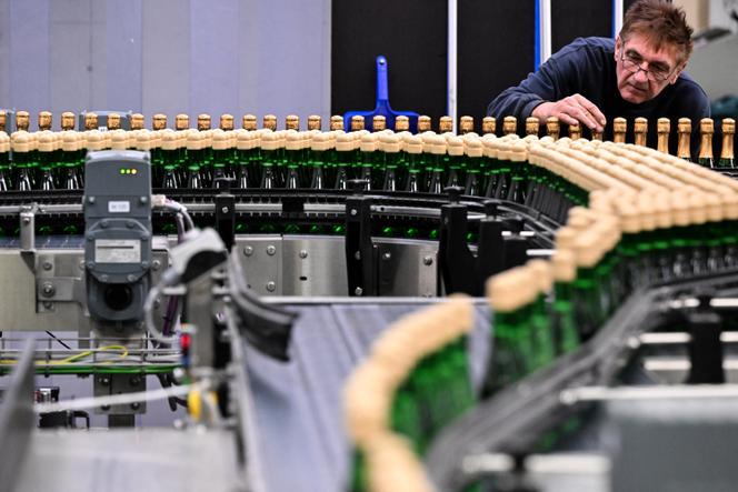 Dans une production de vin sans alcool, à Rüdesheim am Rhein (Allemagne), le 22 octobre 2024. 