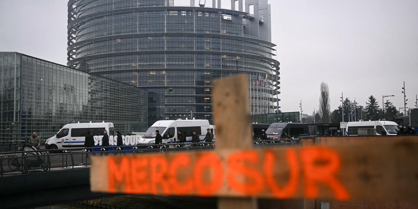 L'UE adopte des garde-fous pour protéger ses agriculteurs face au Mercosur