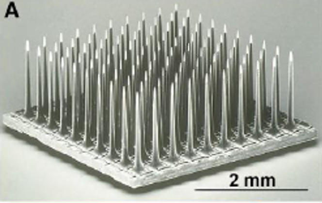 Image en microscopie à balayage de l’implant (Utah Electrode Array) composé de 100&nbsp;micro- électrodes.