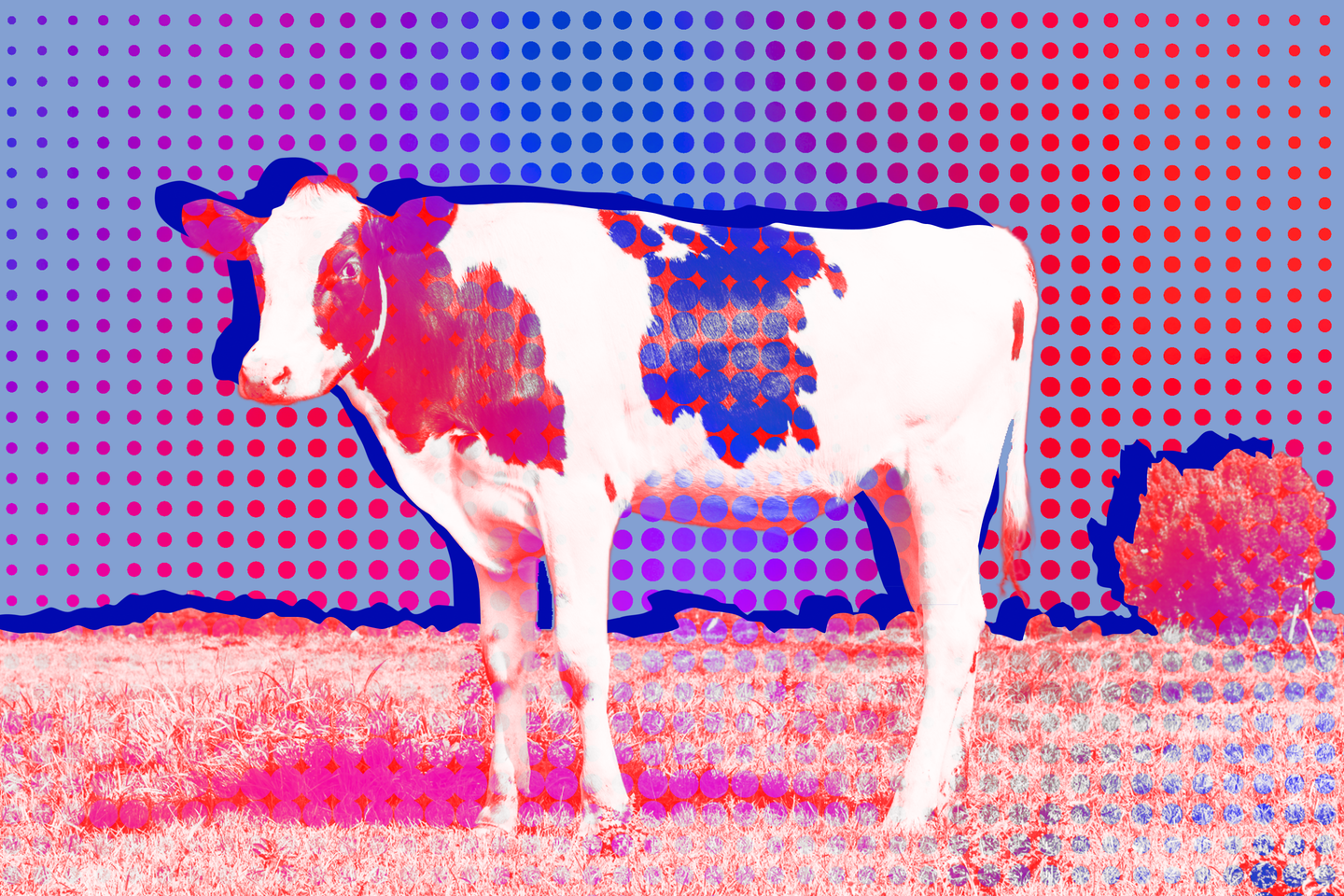 Municipales 2026 : en Bretagne, des maires mettent en berne le drapeau européen pour « soutenir » le monde agricole Municipales 2026 : en Bretagne, des maires mettent en berne le drapeau européen pour « soutenir » le monde agricole